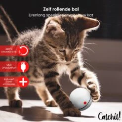 Catchit!® Interactieve Zelfrollende Bal Katten - Kattenspeeltjes - Inclusief USB Kabel En Staartjes - Kattenspeelgoed - Smart - Grijs -Katten Benodigdheden Winkel 1200x1200 1243