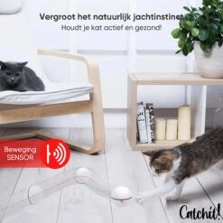 Catchit!® Interactieve Zelfrollende Bal Katten - Kattenspeeltjes - Inclusief USB Kabel En Staartjes - Kattenspeelgoed - Smart - Grijs -Katten Benodigdheden Winkel 1200x1200 1244