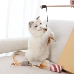 GIZMO Luxe Kattenspeeltjes Set - 7 Speeltjes - Interactieve Kattenhengel, Kattenspeelgoed & Speelmuisjes - Kitten Speeltjes -Katten Benodigdheden Winkel 1200x1200 1250