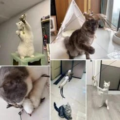 Kattenspeelgoed - Simulatie Vogel - Interactieve Grappige Kattenspeeltjes - Kattenhengel Met Zuignap + 4 Vogels + Een Kattenhengel GRATIS -Katten Benodigdheden Winkel 1200x1200 1251