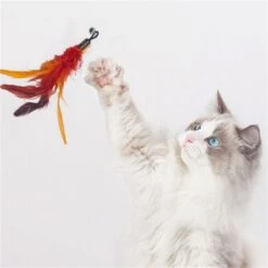 Merkloos Kattenhengel Met 10 Opzetstukjes - Kat Speelhengel Met Veren - Speelgoed Hengel Voor Katten – Kittenspeeltjes Met Veer – Kattenspeelgoed – Katten Speeltjes -Katten Benodigdheden Winkel 1200x1200 1255