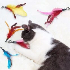 Merkloos Kattenhengel Met 10 Opzetstukjes - Kat Speelhengel Met Veren - Speelgoed Hengel Voor Katten – Kittenspeeltjes Met Veer – Kattenspeelgoed – Katten Speeltjes -Katten Benodigdheden Winkel 1200x1200 1256