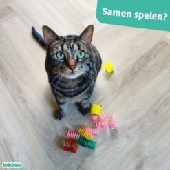 Moowi - Springveren 30 Stuks - Kat - Kattenveertjes - Kattenspeelgoed -Katten Benodigdheden Winkel 1200x1200 1272