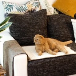 Navaris Krabmat Voor Katten - Krabmat Voor Aan Bank - Krabtapijt Voor Kat - Bankbescherming - Voorkomt Krabschade - 130 X 45 Cm - Sisal En Linnen 16 Navaris Krabmat Voor Katten - Krabmat Voor Aan Bank - Krabtapijt Voor Kat - Bankbescherming - Voorkomt Krabschade - 130 X 45 Cm - Sisal En Linnen -Katten Benodigdheden Winkel 1200x1200 1279