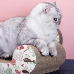 Nobleza 46IIC Design Krabsofa - Krabplank Met Catnip - L54 X B26 X H20 Cm -Katten Benodigdheden Winkel 1200x1200 1298