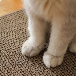 Verticale Muur Kat Krabplank Mini Size Slijtvaste Kat Krassen Schraper Voor Katten Training Slijpen Klauw Speelgoed -Katten Benodigdheden Winkel 1200x1200 1302