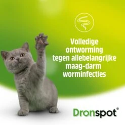 Dronspot Spot On Ontwormingsmiddel Voor Middelgrote Katten (2,5 Kg - 5 Kg) 2 Pipetten -Katten Benodigdheden Winkel 1200x1200 1332