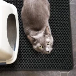 Merkloos Tastelio XXL Kattenbakmat 75x55cm - Groot Kattenbak Mat Met Innovatieve Honingraatstructuur - Dubbele Waterdichte Laag - Katten Bak Mat Met Eenvoudige Reiniging Grit Opvanger -Katten Benodigdheden Winkel 1200x1200 1395