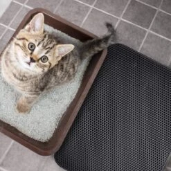 Merkloos Tastelio XXL Kattenbakmat 75x55cm - Groot Kattenbak Mat Met Innovatieve Honingraatstructuur - Dubbele Waterdichte Laag - Katten Bak Mat Met Eenvoudige Reiniging Grit Opvanger -Katten Benodigdheden Winkel 1200x1200 1396