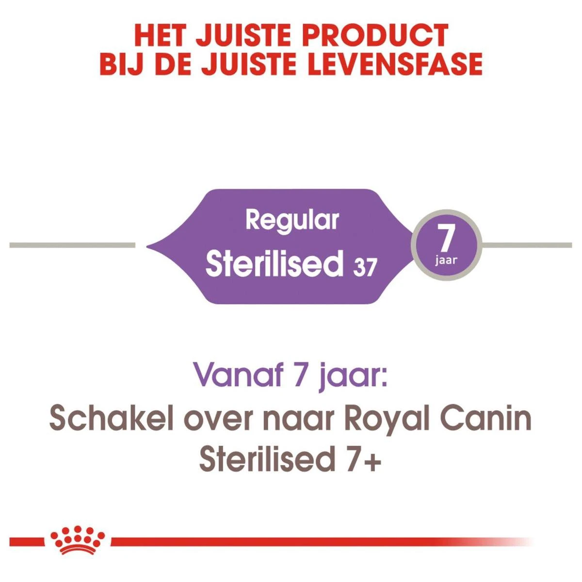 Royal Canin Sterilised 37 - Kattenvoer - 4 Kg 11 Royal Canin Sterilised 37 - Kattenvoer - 4 Kg - Afbeelding 9