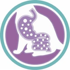 Purina One Sensitive - Kalkoen/Rijst - Kattenvoer - 800 G 26 Purina One Sensitive - Kalkoen/Rijst - Kattenvoer - 800 G -Katten Benodigdheden Winkel 1200x1200 235