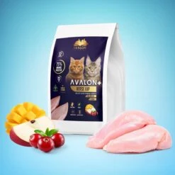 Avalon Petfood + Verse Kip Super Premium - Kattenvoer - 5Kg -Katten Benodigdheden Winkel 1200x1200 243