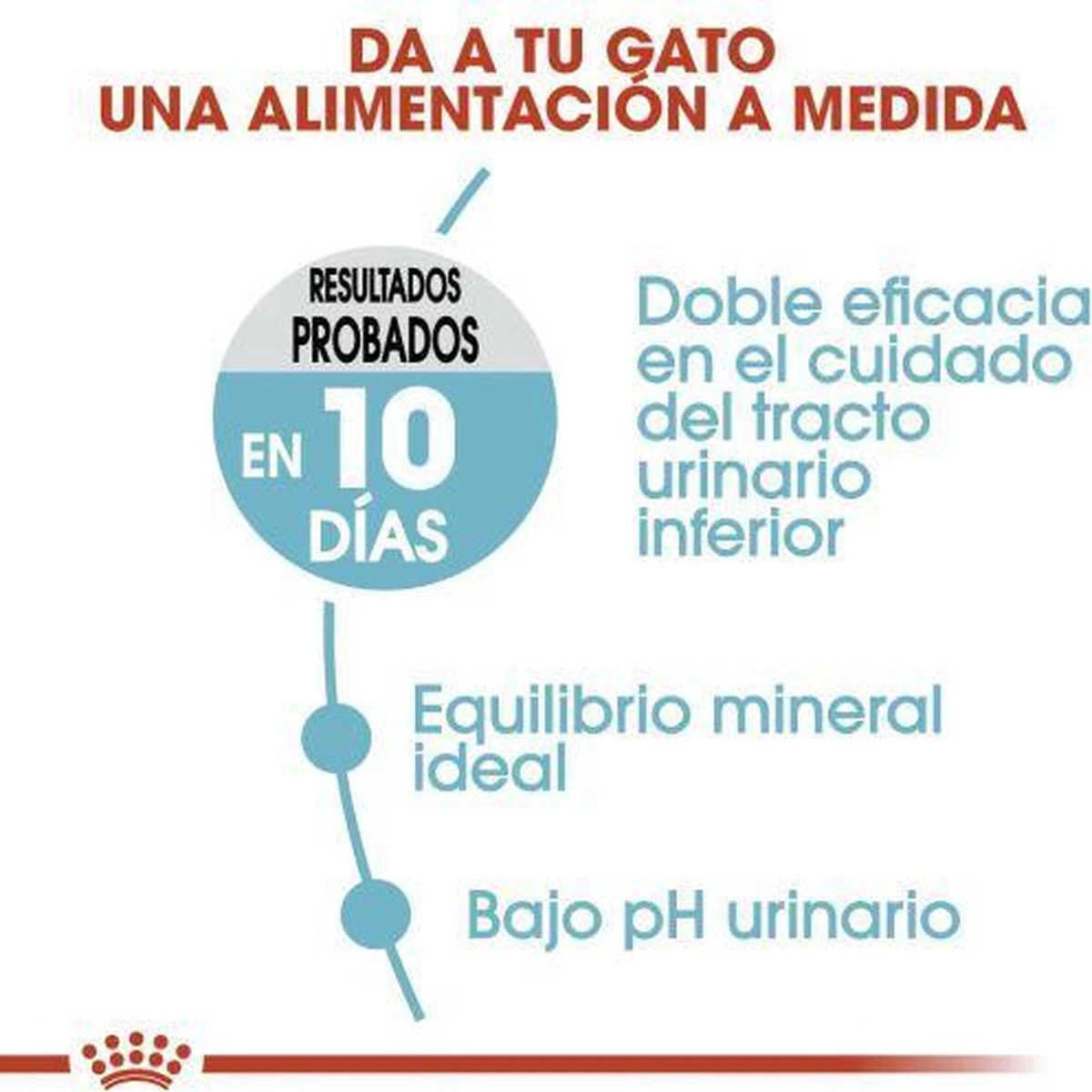 Royal Canin Urinary Care - Kattenvoer - 10 Kg 6 Royal Canin Urinary Care - Kattenvoer - 10 Kg - Afbeelding 4