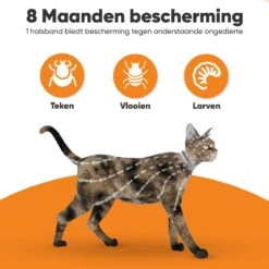 Nafurapets Vlooienband Voor Kat – Anti Vlooien – Teken Band – 100% Natuurlijk – 8 Maanden Bescherming – Grote & Kleine Kat -Katten Benodigdheden Winkel 1200x1200 291