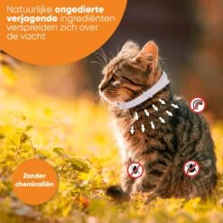 Nafurapets Vlooienband Voor Kat – Anti Vlooien – Teken Band – 100% Natuurlijk – 8 Maanden Bescherming – Grote & Kleine Kat -Katten Benodigdheden Winkel 1200x1200 295