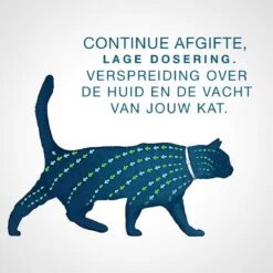 Seresto Teken- En Vlooienband - Anti Tekenmiddel - Kat - 38 Cm -Katten Benodigdheden Winkel 1200x1200 297