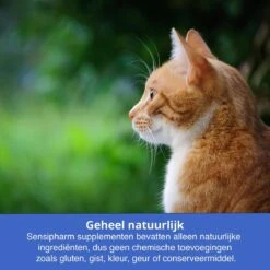 Sensipharm Omniderma Voor Kat, Hondje, Cavia, Konijn - Voedingssupplement Voor Huid En Vacht, Bij Jeuk, Eczeem & Hotspot - 90 Tabletten à 250 Mg -Katten Benodigdheden Winkel 1200x1200 303