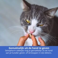 Sensipharm Omniderma Voor Kat, Hondje, Cavia, Konijn - Voedingssupplement Voor Huid En Vacht, Bij Jeuk, Eczeem & Hotspot - 90 Tabletten à 250 Mg -Katten Benodigdheden Winkel 1200x1200 305