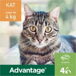 Bayer Advantage 40 Tegen Vlooien - <4kg - 4 X 0,4 Ml - Adult -Katten Benodigdheden Winkel 1200x1200 317