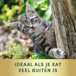 3 Stuks Vlooienband Kat Tekenband - 100% Natuurlijk Veilig En Waterbestendig 12 3 Stuks Vlooienband Kat Tekenband - 100% Natuurlijk Veilig En Waterbestendig -Katten Benodigdheden Winkel 1200x1200 320