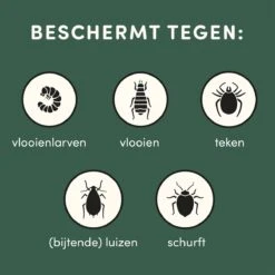 3 Stuks Vlooienband Kat Tekenband - 100% Natuurlijk Veilig En Waterbestendig 17 3 Stuks Vlooienband Kat Tekenband - 100% Natuurlijk Veilig En Waterbestendig -Katten Benodigdheden Winkel 1200x1200 323
