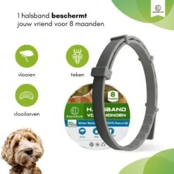Essential Link Teken- En Vlooienband - Vlooienband Kat/Hond – Anti Vlooien – Vlooienmiddel - Tekenband - Diervriendelijk -Katten Benodigdheden Winkel 1200x1200 325