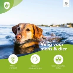 Essential Link Teken- En Vlooienband - Vlooienband Kat/Hond – Anti Vlooien – Vlooienmiddel - Tekenband - Diervriendelijk -Katten Benodigdheden Winkel 1200x1200 327