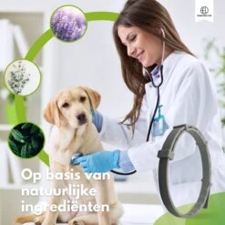 Essential Link Teken- En Vlooienband - Vlooienband Kat/Hond – Anti Vlooien – Vlooienmiddel - Tekenband - Diervriendelijk -Katten Benodigdheden Winkel 1200x1200 328