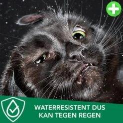 Teken- En Vlooienband Voor Katten PLUS - Natuurlijk Middel Tegen Vlooien En Teken - 100% Natuurlijk - 38,5 CM - Tot 8 Maand Werkzaam - Biologisch -Katten Benodigdheden Winkel 1200x1200 329
