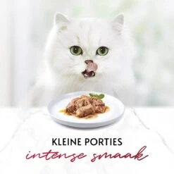 Gourmet Mon Petit Intense - Kattenvoer Natvoer - Vis - 24 X 50 Gr 19 Gourmet Mon Petit Intense - Kattenvoer Natvoer - Vis - 24 X 50 Gr -Katten Benodigdheden Winkel 1200x1200 33