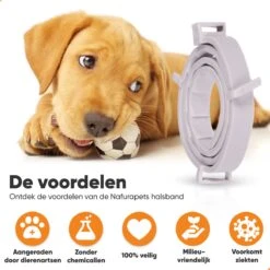 Nafurapets Vlooienband Voor Hond – Anti Vlooien – Teken Band – 100% Natuurlijk – 8 Maanden Bescherming – Grote & Kleine Hond -Katten Benodigdheden Winkel 1200x1200 333
