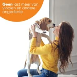 Nafurapets Vlooienband Voor Hond – Anti Vlooien – Teken Band – 100% Natuurlijk – 8 Maanden Bescherming – Grote & Kleine Hond -Katten Benodigdheden Winkel 1200x1200 336