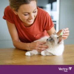 VECTRA Felis - Vlooiendruppels - Voor Katten 0.6 T/m 10 Kg - 3 Pipetten -Katten Benodigdheden Winkel 1200x1200 345