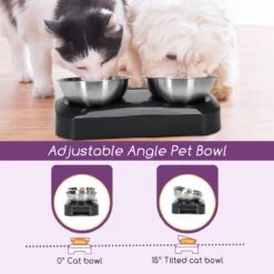 Nobleza Katten Voerbakjes - Ergonomische Dubbele Voerbak - Anti Braak Voerbak Voor Katten - Zwart - Dubbel - RVS -Katten Benodigdheden Winkel 1200x1200 362