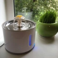 Merkloos Drinkfontein Voor Hond En Kat - RVS Waterbak - Dieren Drinkbak - Vers Water Fontein - Drinkfontein Katten- 3 Standen - 2.4 Liter - Incl. 1 Koolstoffilter 17 Merkloos Drinkfontein Voor Hond En Kat - RVS Waterbak - Dieren Drinkbak - Vers Water Fontein - Drinkfontein Katten- 3 Standen - 2.4 Liter - Incl. 1 Koolstoffilter -Katten Benodigdheden Winkel 1200x1200 376