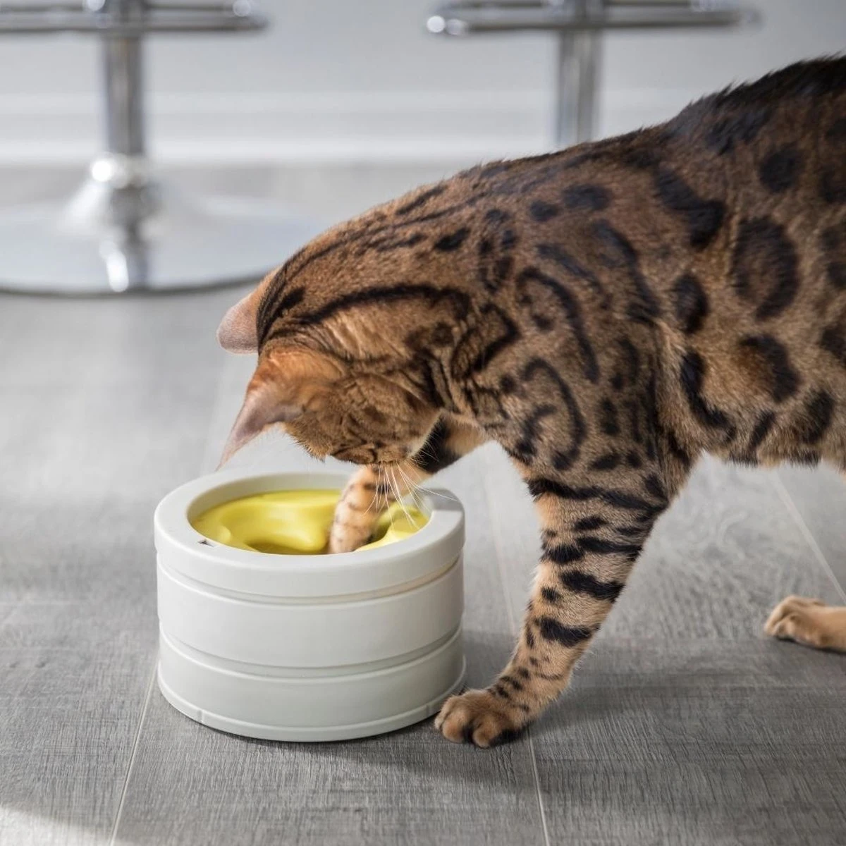 BeOneBreed Intellikatt - Slowfeeder Voor Katten - Voerpuzzel Aanbevolen Door Dierenartsen En Kattengedragsdeskundigen 3 BeOneBreed Intellikatt - Slowfeeder Voor Katten - Voerpuzzel Aanbevolen Door Dierenartsen En Kattengedragsdeskundigen