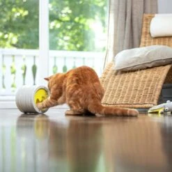 BeOneBreed Intellikatt - Slowfeeder Voor Katten - Voerpuzzel Aanbevolen Door Dierenartsen En Kattengedragsdeskundigen 14 BeOneBreed Intellikatt - Slowfeeder Voor Katten - Voerpuzzel Aanbevolen Door Dierenartsen En Kattengedragsdeskundigen -Katten Benodigdheden Winkel 1200x1200 382