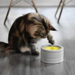 BeOneBreed Intellikatt - Slowfeeder Voor Katten - Voerpuzzel Aanbevolen Door Dierenartsen En Kattengedragsdeskundigen 15 BeOneBreed Intellikatt - Slowfeeder Voor Katten - Voerpuzzel Aanbevolen Door Dierenartsen En Kattengedragsdeskundigen -Katten Benodigdheden Winkel 1200x1200 383