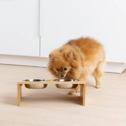 Navaris Verhoogd Dubbel Dieren Voedingsstation - 2 Kommen Voor Katten En Kleine Honden - Roestvrij Staal - Verhoogde Bamboe Standaard 12 Navaris Verhoogd Dubbel Dieren Voedingsstation - 2 Kommen Voor Katten En Kleine Honden - Roestvrij Staal - Verhoogde Bamboe Standaard -Katten Benodigdheden Winkel 1200x1200 401