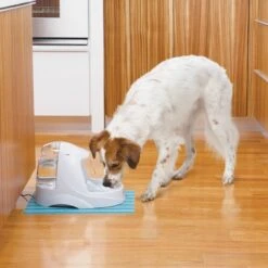 Petsafe Drinkwell Platinum - Drinkfontein - 5 L -Katten Benodigdheden Winkel 1200x1200 411