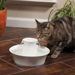 Petsafe Drinkwell Ceramic Avalon - Drinkfontein - 2 L 16 Petsafe Drinkwell Ceramic Avalon - Drinkfontein - 2 L -Katten Benodigdheden Winkel 1200x1200 415