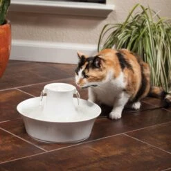 Petsafe Drinkwell Ceramic Avalon - Drinkfontein - 2 L 17 Petsafe Drinkwell Ceramic Avalon - Drinkfontein - 2 L -Katten Benodigdheden Winkel 1200x1200 416