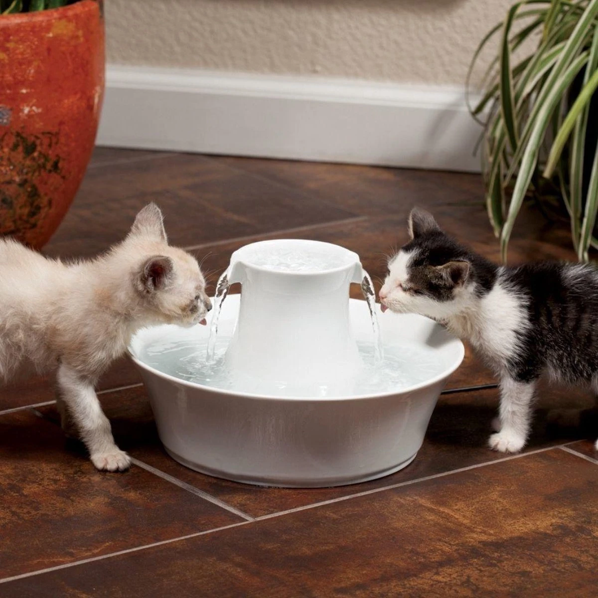 Petsafe Drinkwell Ceramic Avalon - Drinkfontein - 2 L 8 Petsafe Drinkwell Ceramic Avalon - Drinkfontein - 2 L - Afbeelding 6