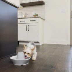 PetSafe® Streamside Ceramic Pet Fountain - Keramische Drinkfontein Voor Katten En Kleine Honden - Water Borrelt Zacht Over De Toren - Door Het Design Van Alle Kanten Bereikbaar - 1,8 Liter - PetSafe Streamside 15 PetSafe® Streamside Ceramic Pet Fountain - Keramische Drinkfontein Voor Katten En Kleine Honden - Water Borrelt Zacht Over De Toren - Door Het Design Van Alle Kanten Bereikbaar - 1,8 Liter - PetSafe Streamside -Katten Benodigdheden Winkel 1200x1200 422