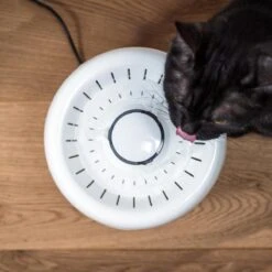 TrevoPet® Drinkfontein Kat - Waterfontein Kat - Kattenfontein - Fluisterstil - Drinkfontein - Drinkbak Kat - 2.5 Liter - Inclusief Filter - Wit 18 TrevoPet® Drinkfontein Kat - Waterfontein Kat - Kattenfontein - Fluisterstil - Drinkfontein - Drinkbak Kat - 2.5 Liter - Inclusief Filter - Wit -Katten Benodigdheden Winkel 1200x1200 434