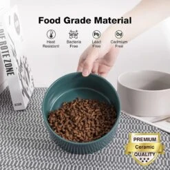 GIZMO 2x Voerbak Kat - 400 Ml - Groen - Keramische Drink- & Voerbakken Met Standaard - 13 Cm - 2 Stuks -Katten Benodigdheden Winkel 1200x1200 437