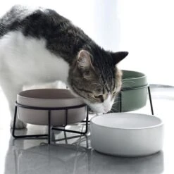 GIZMO 2x Voerbak Kat - 400 Ml - Groen - Keramische Drink- & Voerbakken Met Standaard - 13 Cm - 2 Stuks -Katten Benodigdheden Winkel 1200x1200 440