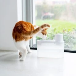 Hoopo® Agua - DRAADLOZE Waterfontein Katten - SMART Waterfontein Katten - UVC Disinfectie - 2 Liter - Automatische Katten Fontein 14 Hoopo® Agua - DRAADLOZE Waterfontein Katten - SMART Waterfontein Katten - UVC Disinfectie - 2 Liter - Automatische Katten Fontein -Katten Benodigdheden Winkel 1200x1200 443