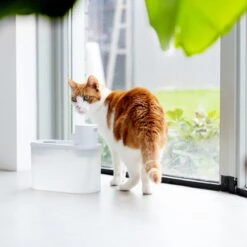 Hoopo® Agua - DRAADLOZE Waterfontein Katten - SMART Waterfontein Katten - UVC Disinfectie - 2 Liter - Automatische Katten Fontein 15 Hoopo® Agua - DRAADLOZE Waterfontein Katten - SMART Waterfontein Katten - UVC Disinfectie - 2 Liter - Automatische Katten Fontein -Katten Benodigdheden Winkel 1200x1200 444