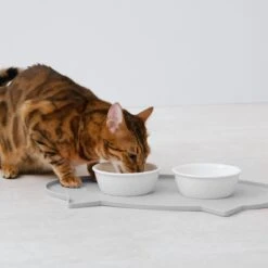 Navaris Siliconen Voederbakmat Voor Katten - Waterdichte Anti-slip Mat Voor Voerbak En Waterbak - 50x32 Cm - In Grijs Kattendesign -Katten Benodigdheden Winkel 1200x1200 448
